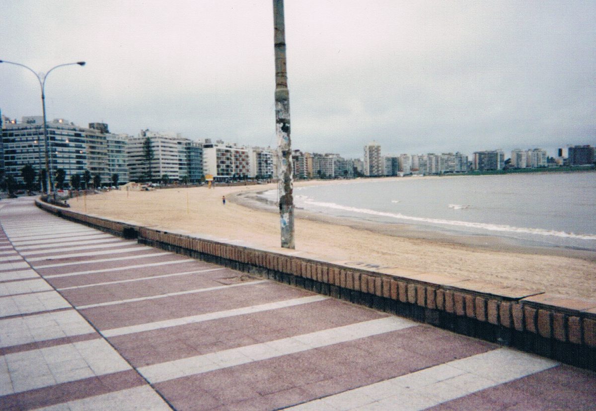 The Rambla and Pocitos beach on a montevideo day trip from buenos aires, with the city skyline beyond