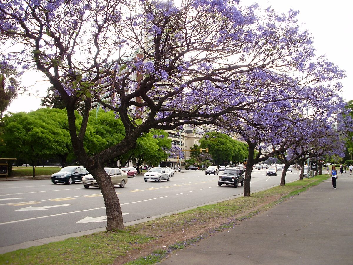 Safest Areas to Stay in Buenos Aires