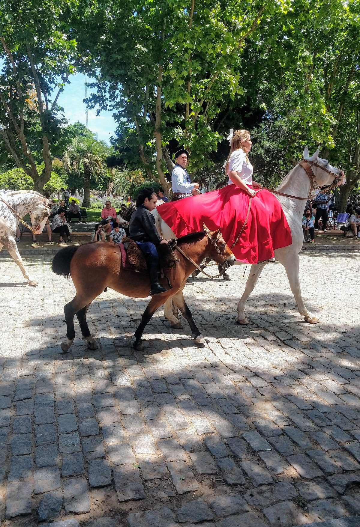 Riders on horseback during the Dia de la Tradicion gaucho festival in San Antonio de Areco