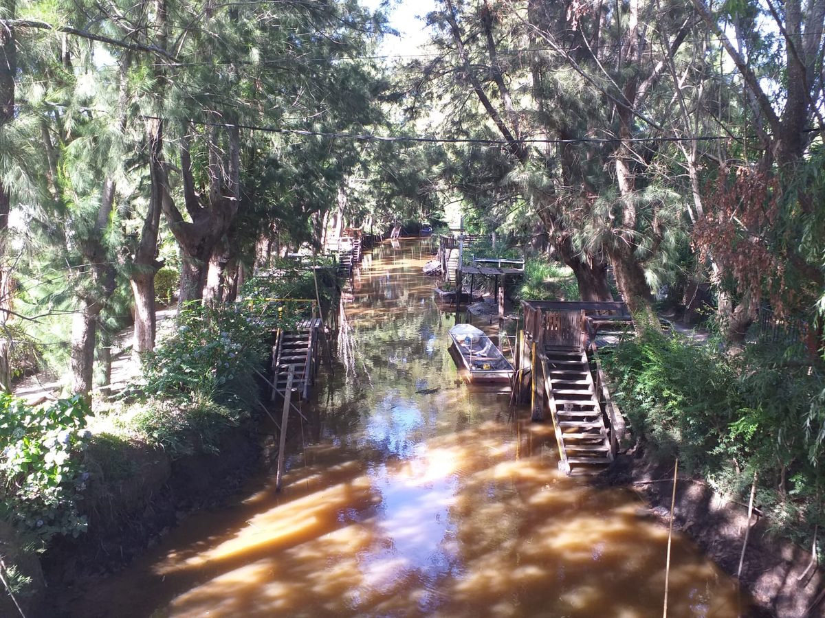 A Tigre day trip from Buenos Aires: a quiet tannin-brown delta channel lined with wooden jetties and willows